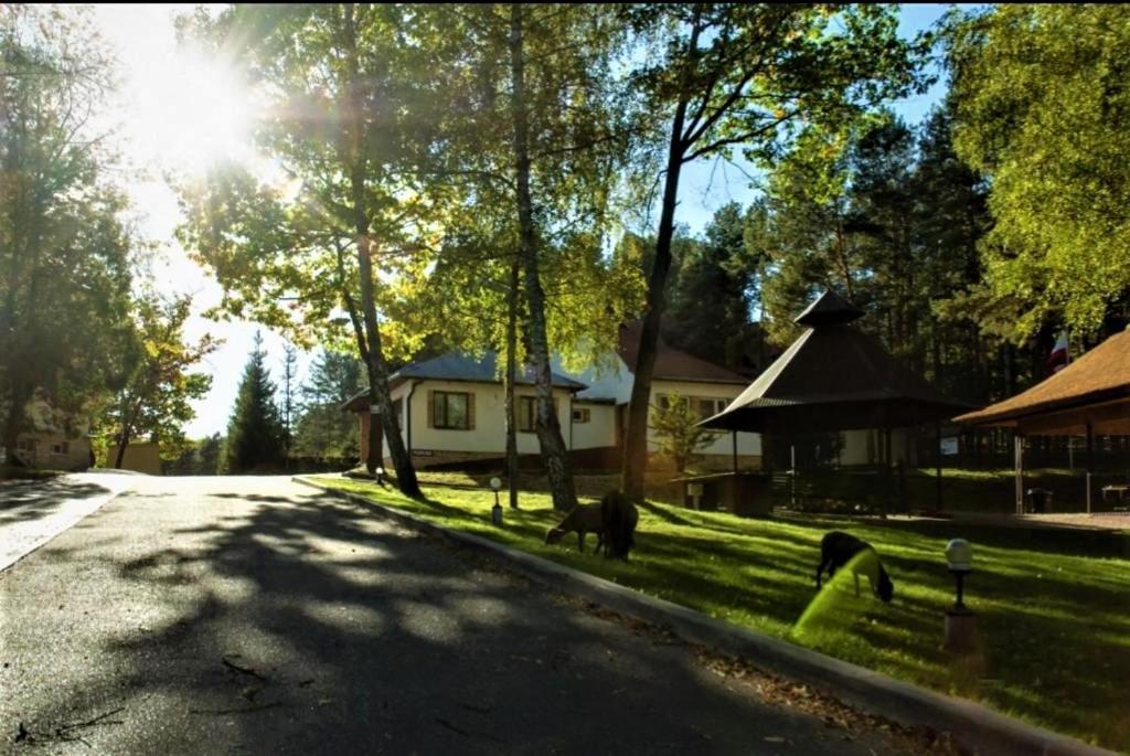 Osrodek Wypoczynkowy ,,Relaks-Perla Serpelic" Serpelice Exterior photo